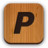 paypal Icon